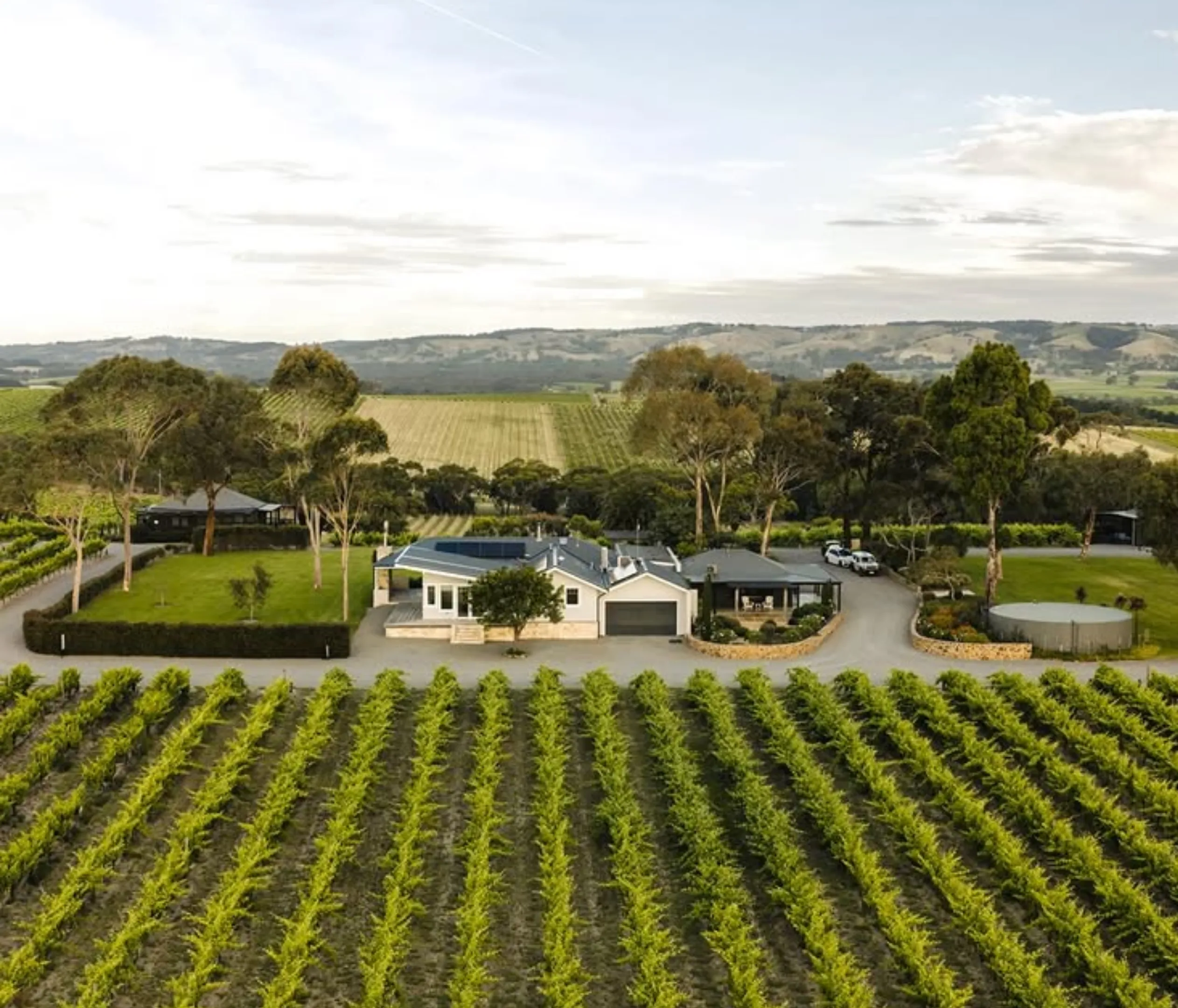 Barossa Valley Shiraz tasting