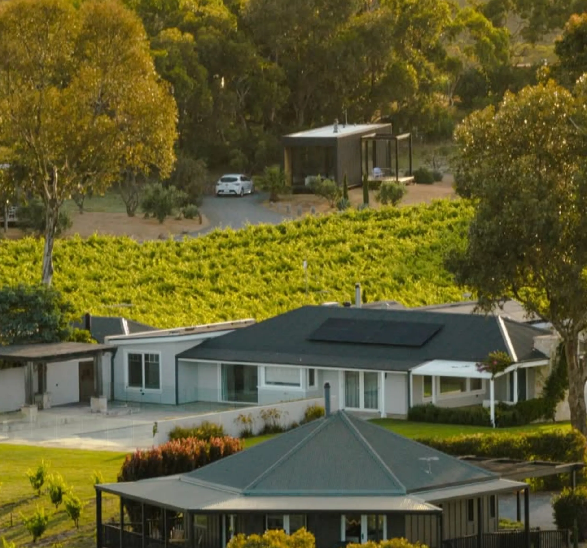 McLaren Vale food and wine experience