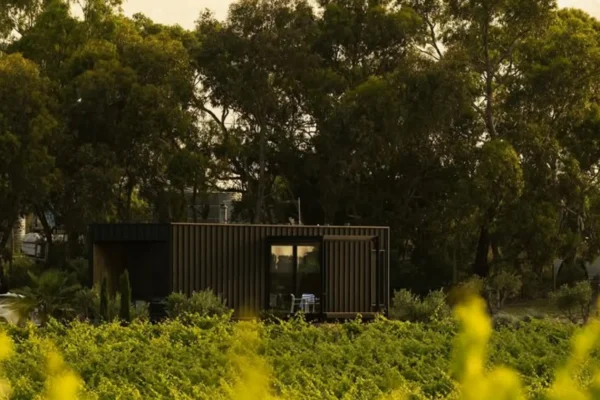 Barossa vs McLaren Vale: Which To Visit?
